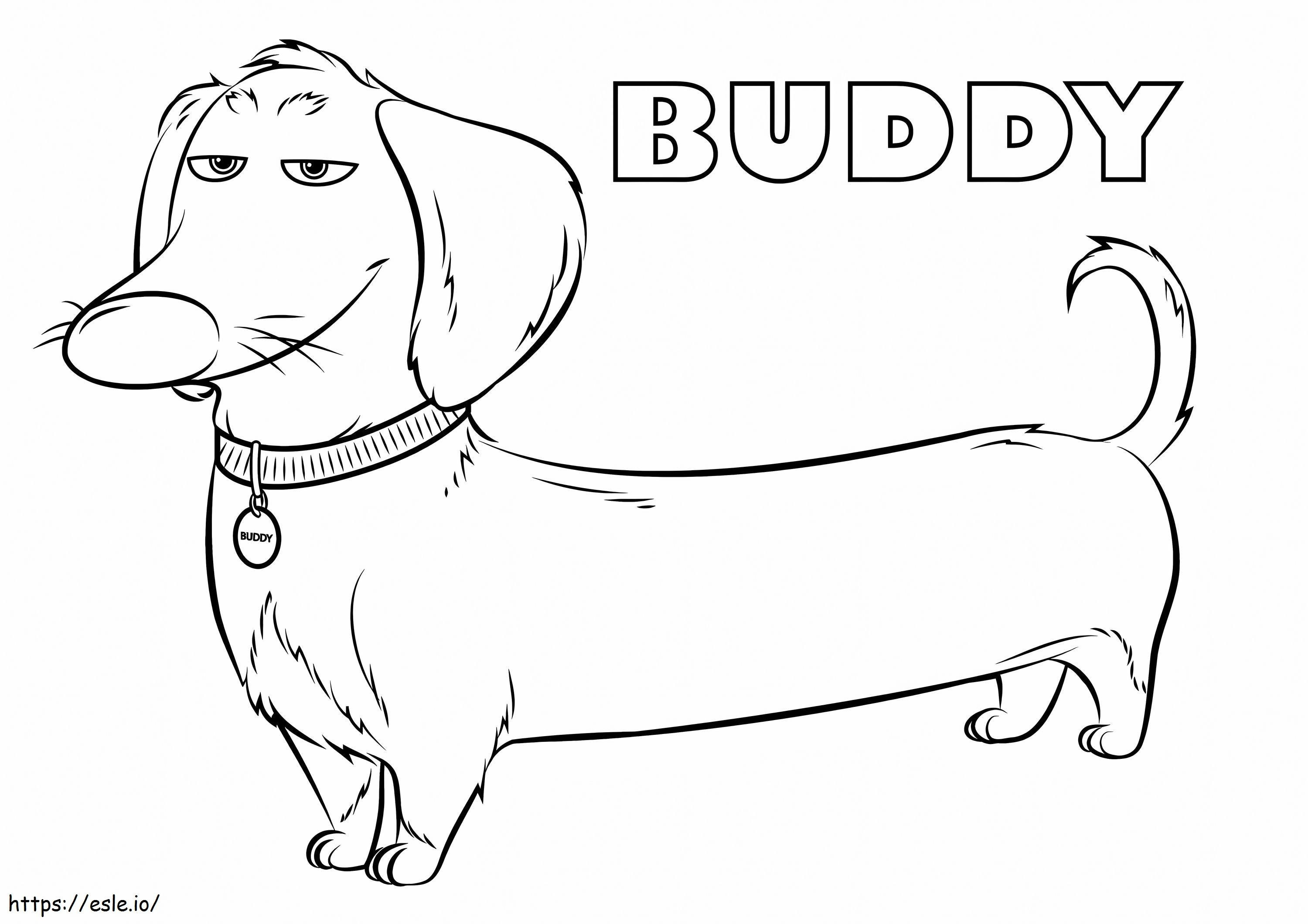 1559535057 Buddy A4 coloring page