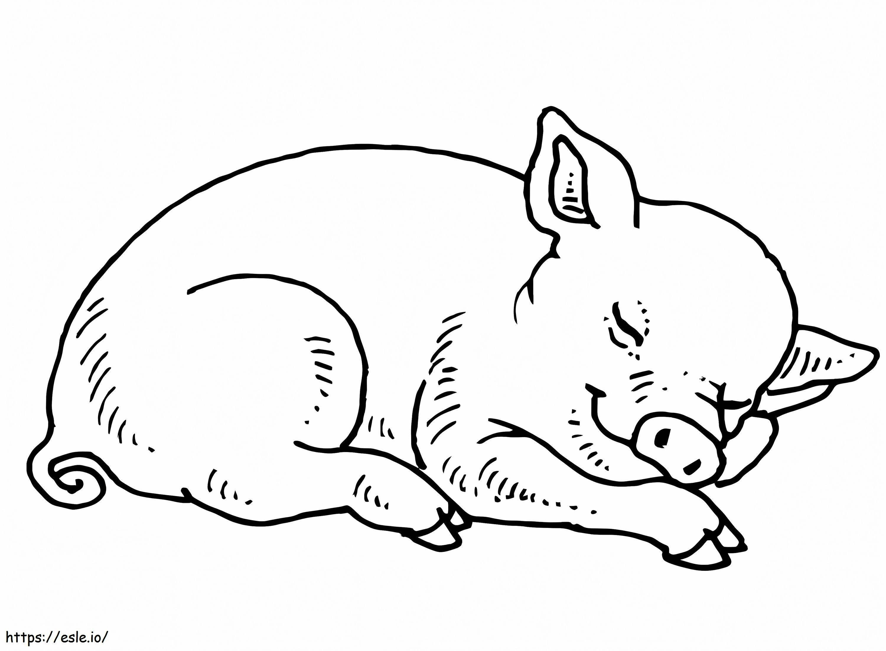 Coloriage Bébé cochon endormi à imprimer dessin