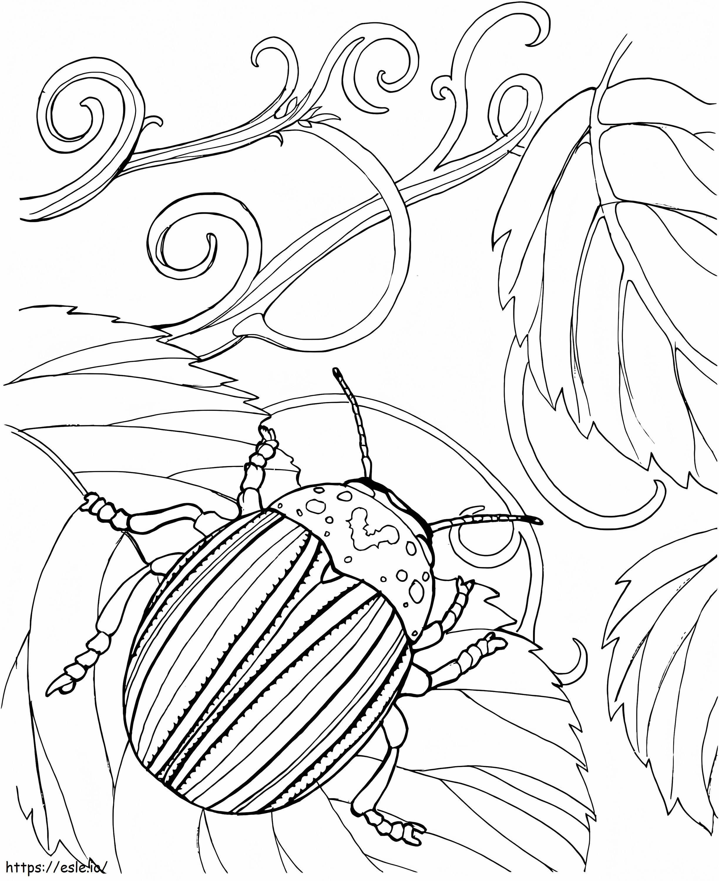 Japoński chrząszcz kolorowanka