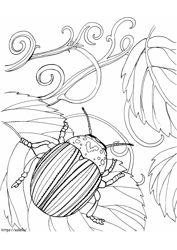 Gândacul Japonez de colorat