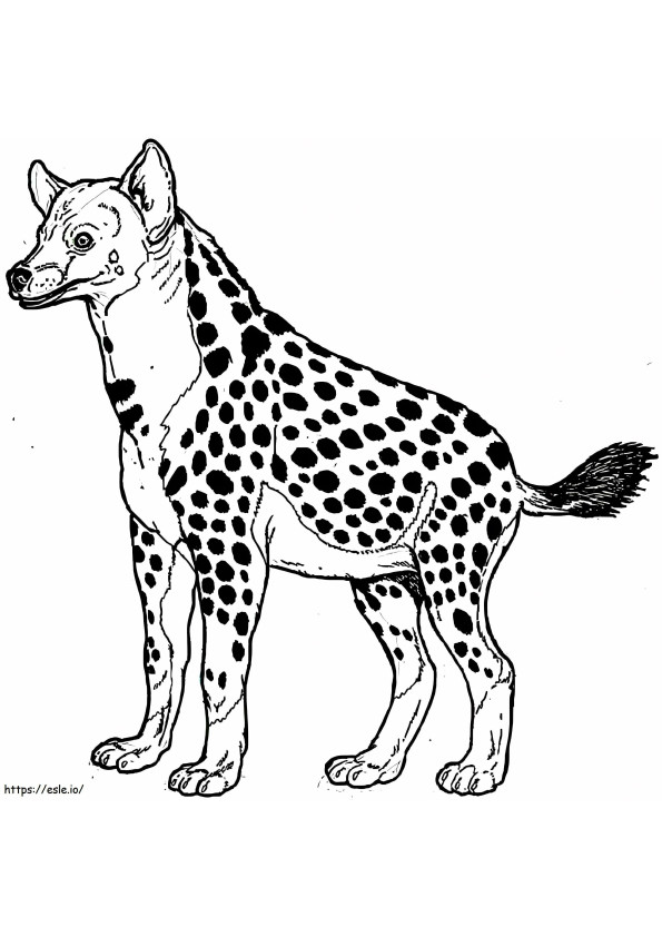 Tulostettava hyena värityskuva