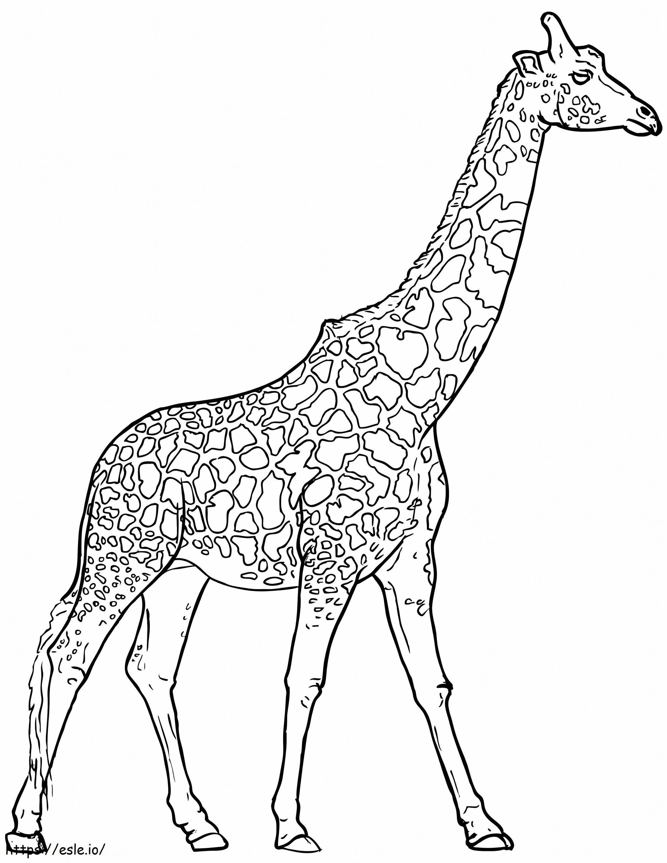 Çocuk İçin Zürafa boyama