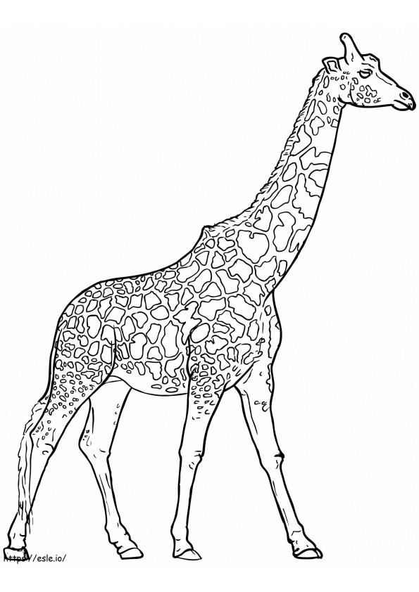 Çocuk İçin Zürafa boyama
