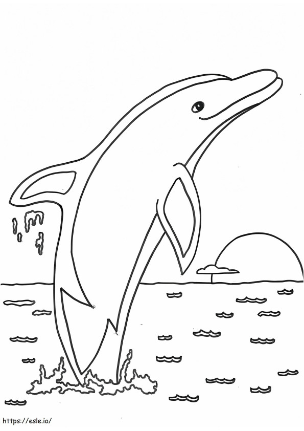 Hyvä delfiini värityskuva
