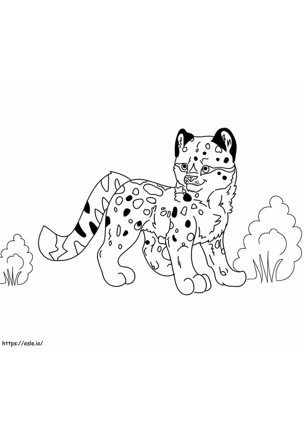 Bebé leopardo de las nieves para colorear
