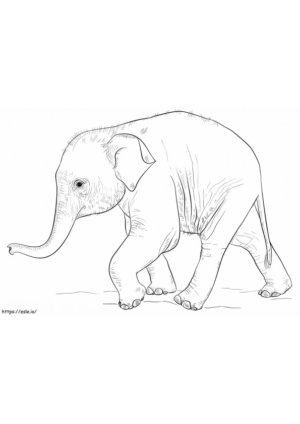 Elefanttivauva kävely värityskuva