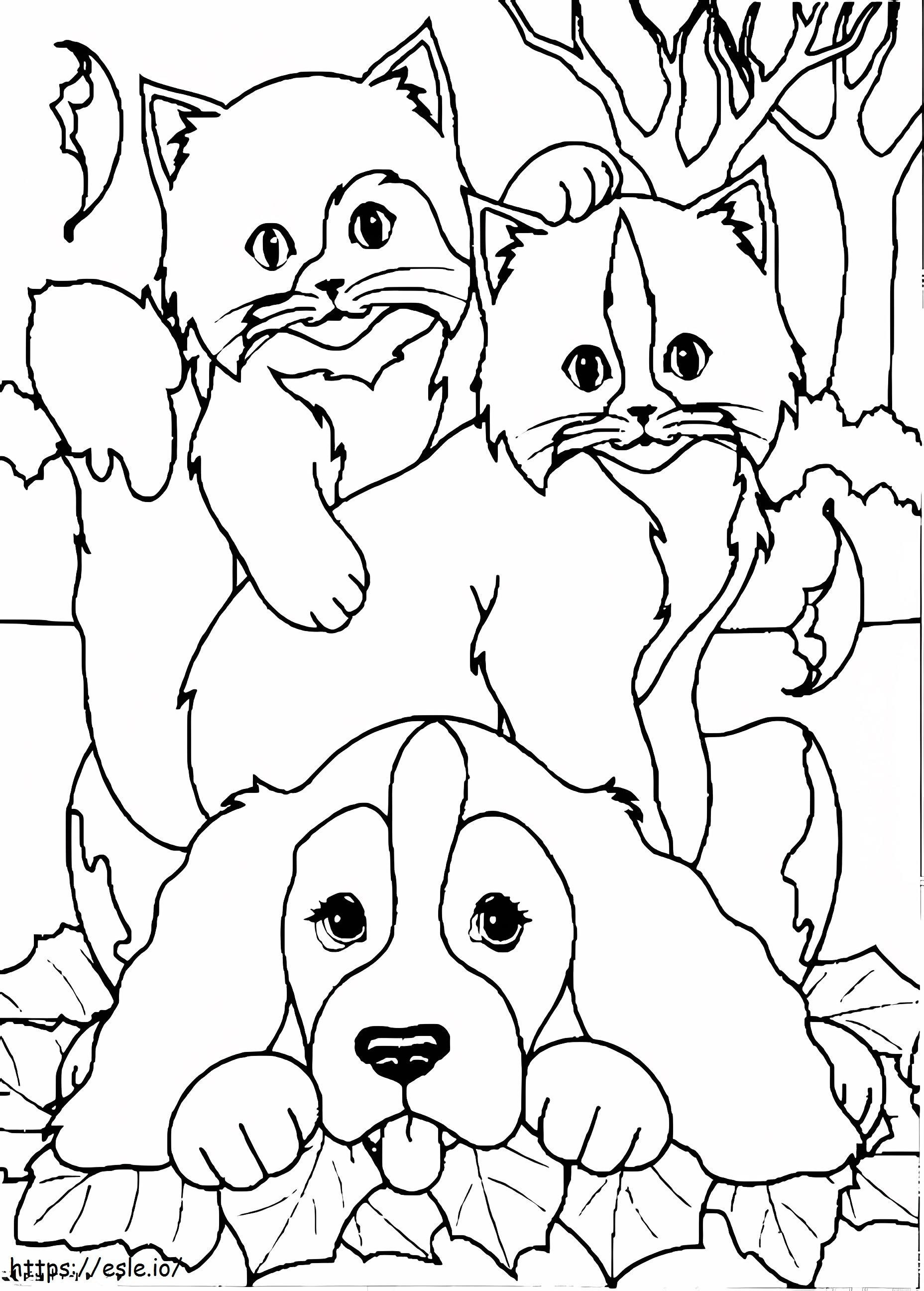 Cão e gatos para colorir