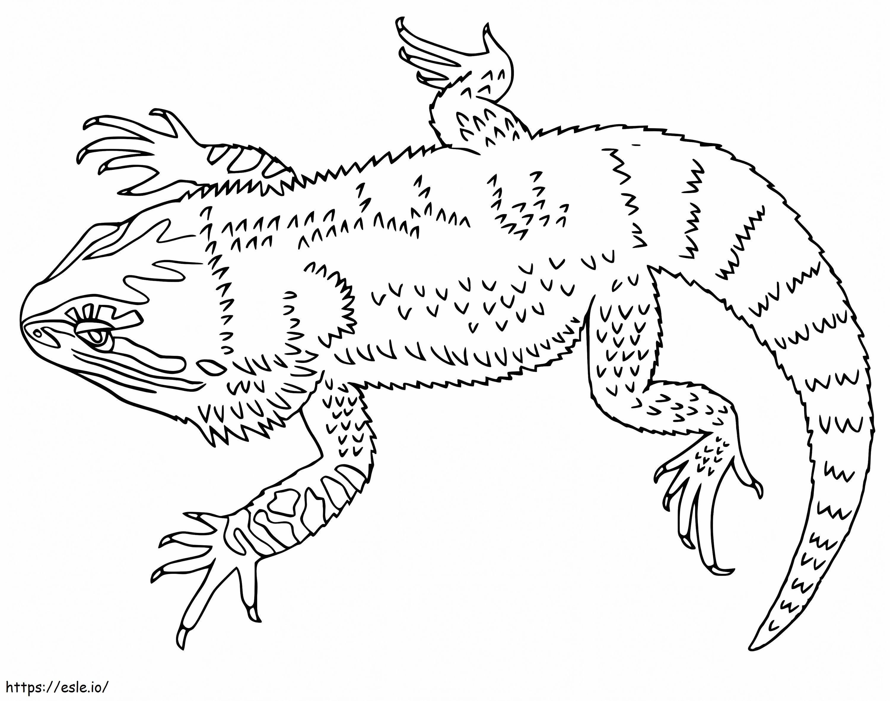 Coloriage Dragon barbu 2 à imprimer dessin