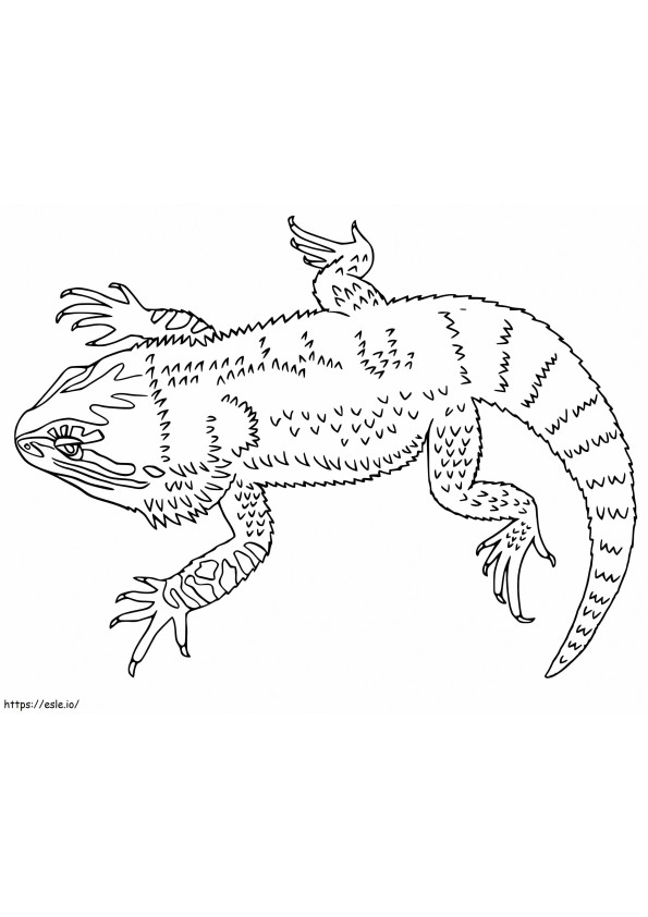 Bearded Dragon 2 coloring page