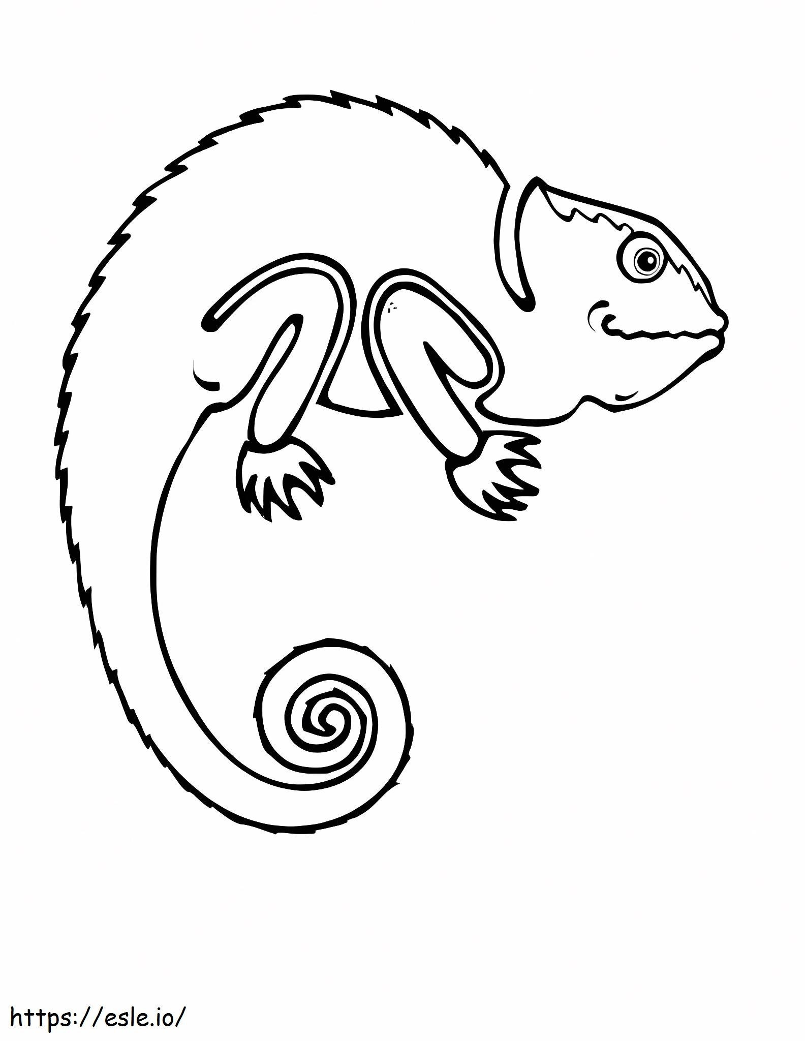 Coloriage Gecko à imprimer dessin