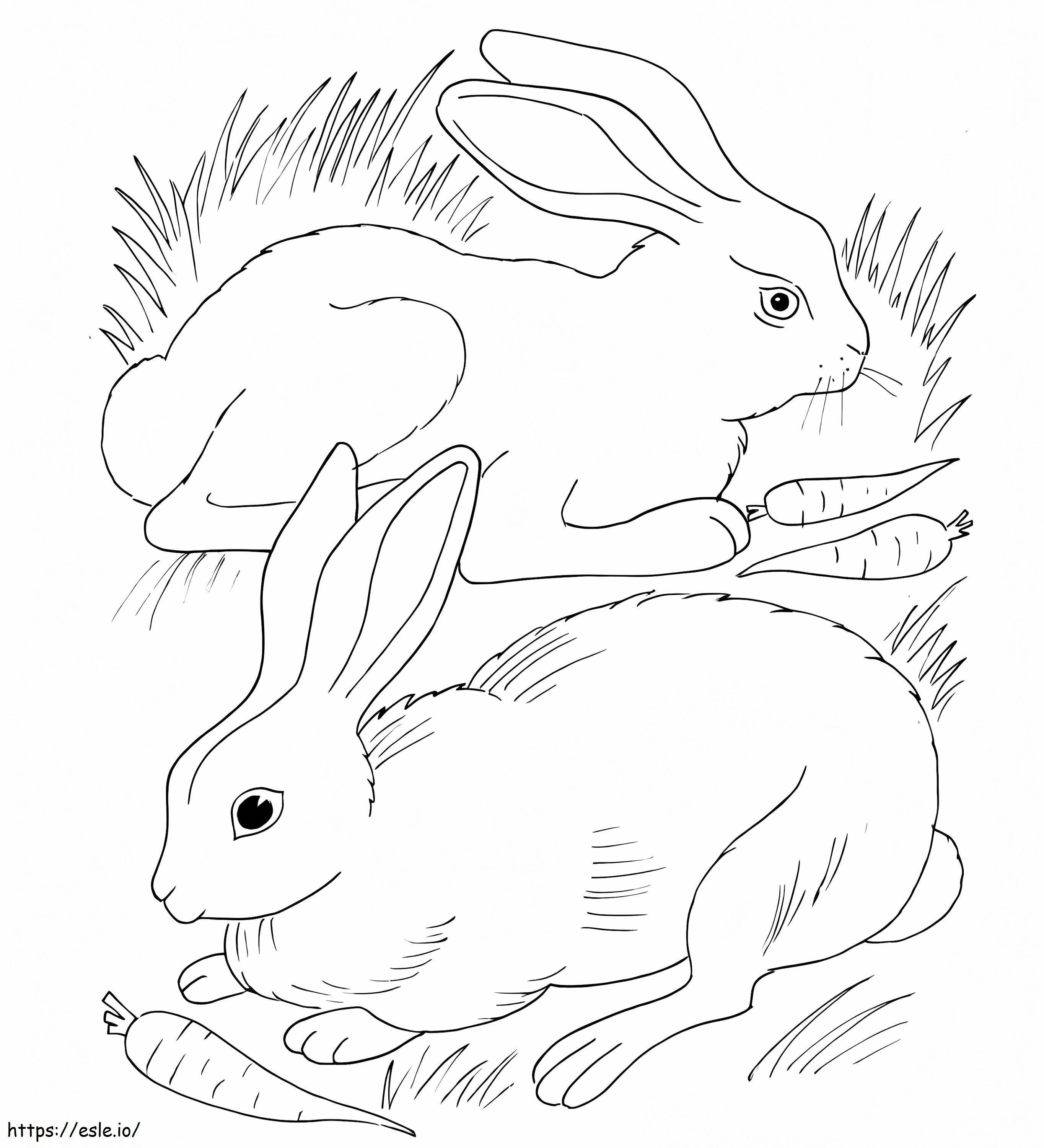 Rabbits Eating Carrots coloring page