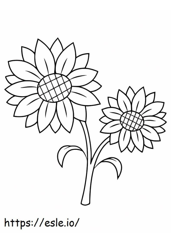 Twin Sunflower coloring page