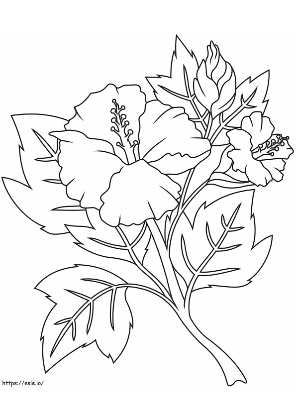Coloriage Hibiscus 8 à imprimer dessin