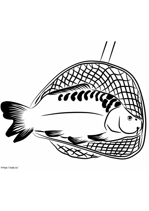 Catching Carp coloring page