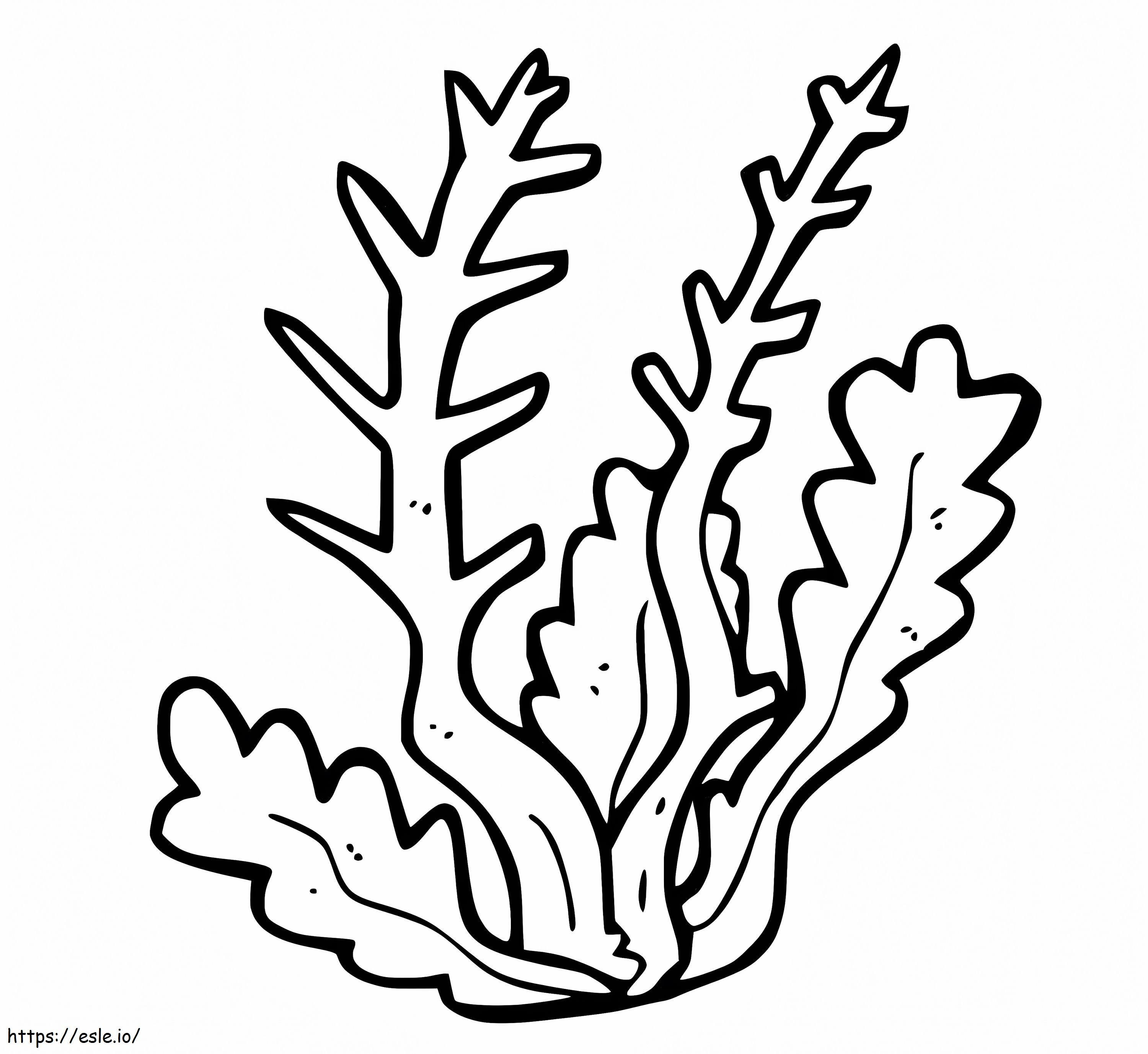 Soft Coral coloring page