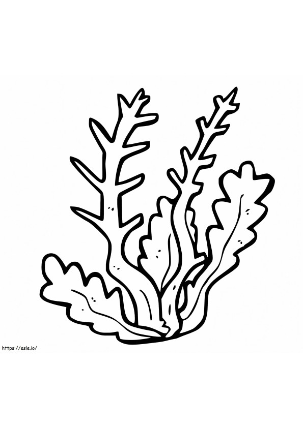 Soft Coral coloring page