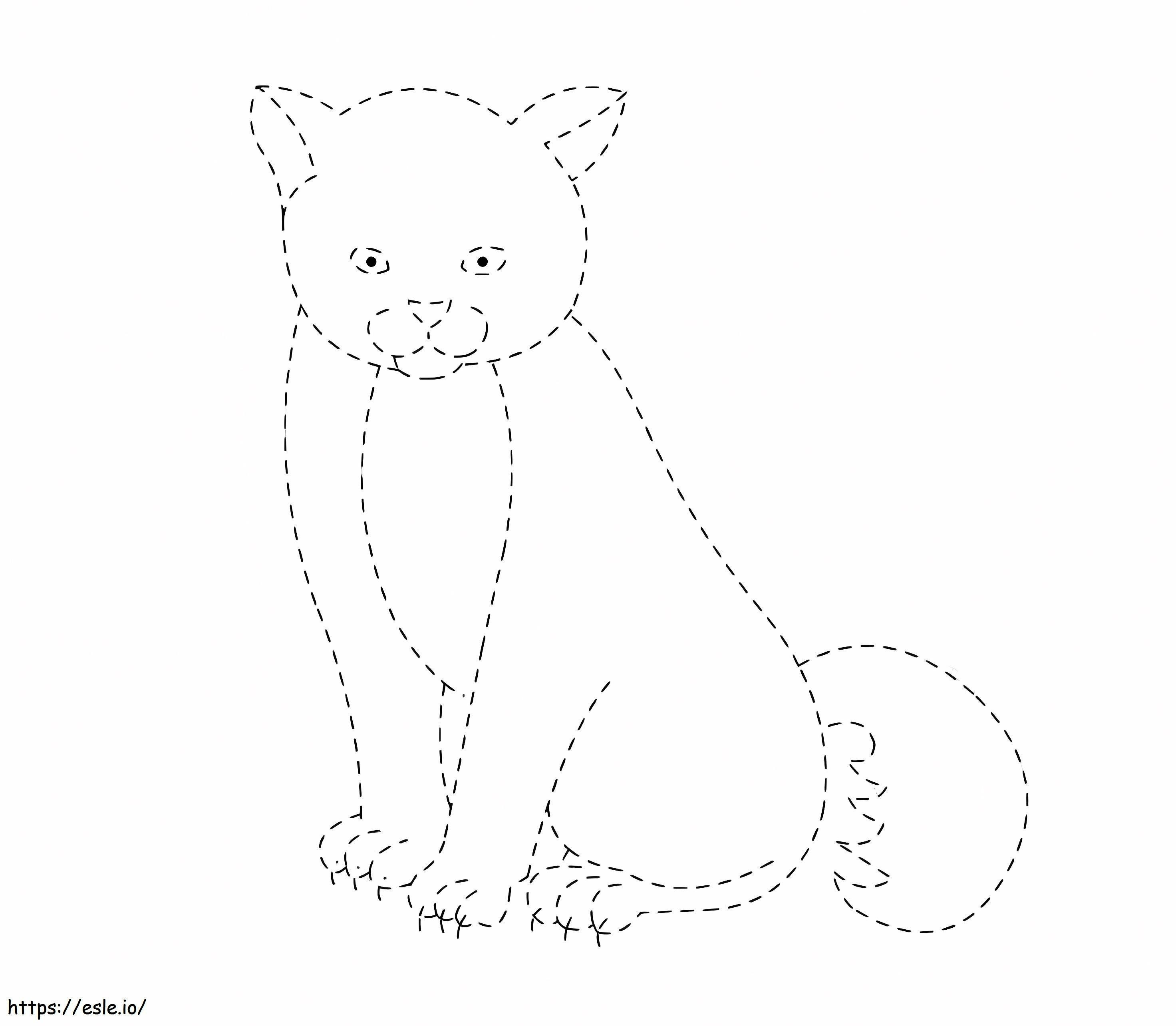Kedi Takibi boyama