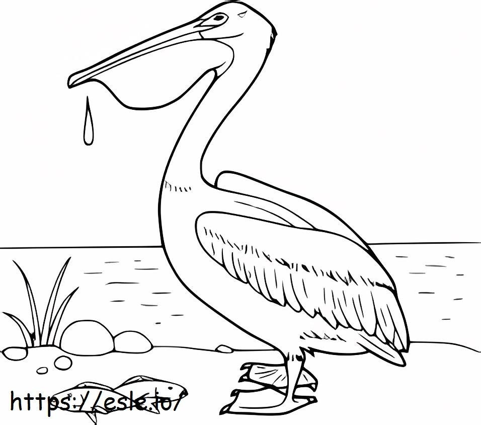 Pelican And Two Fish coloring page