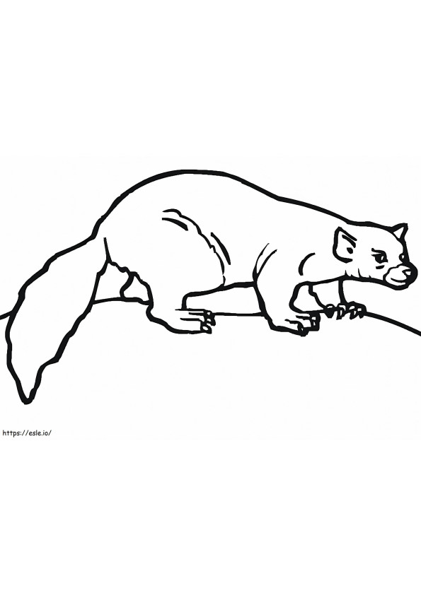 Easy Ferret coloring page