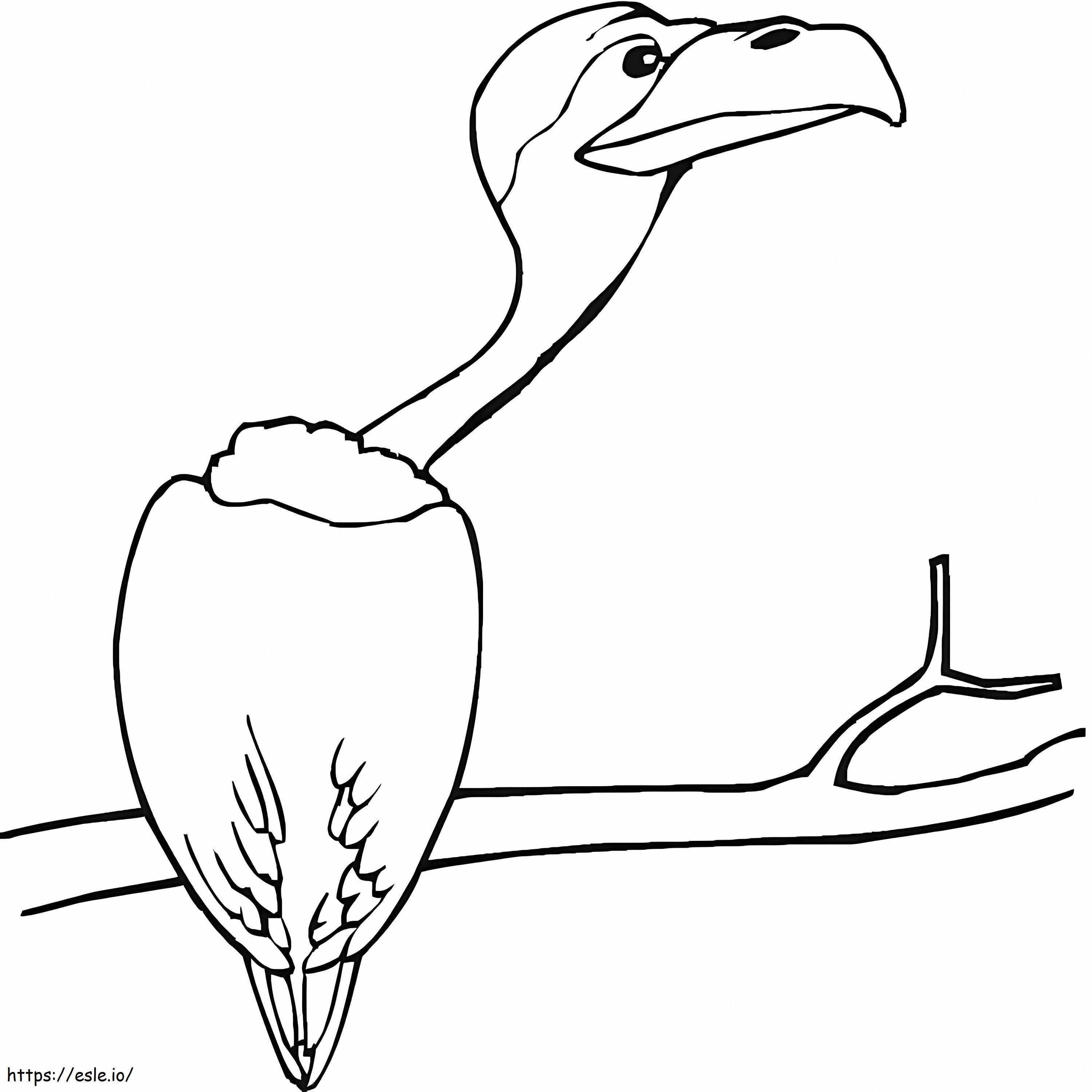 Vulture On A Tree Coloring Page for Kids