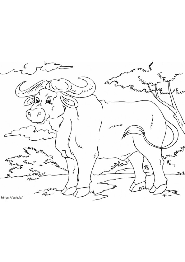 Sevimli Bufalo boyama