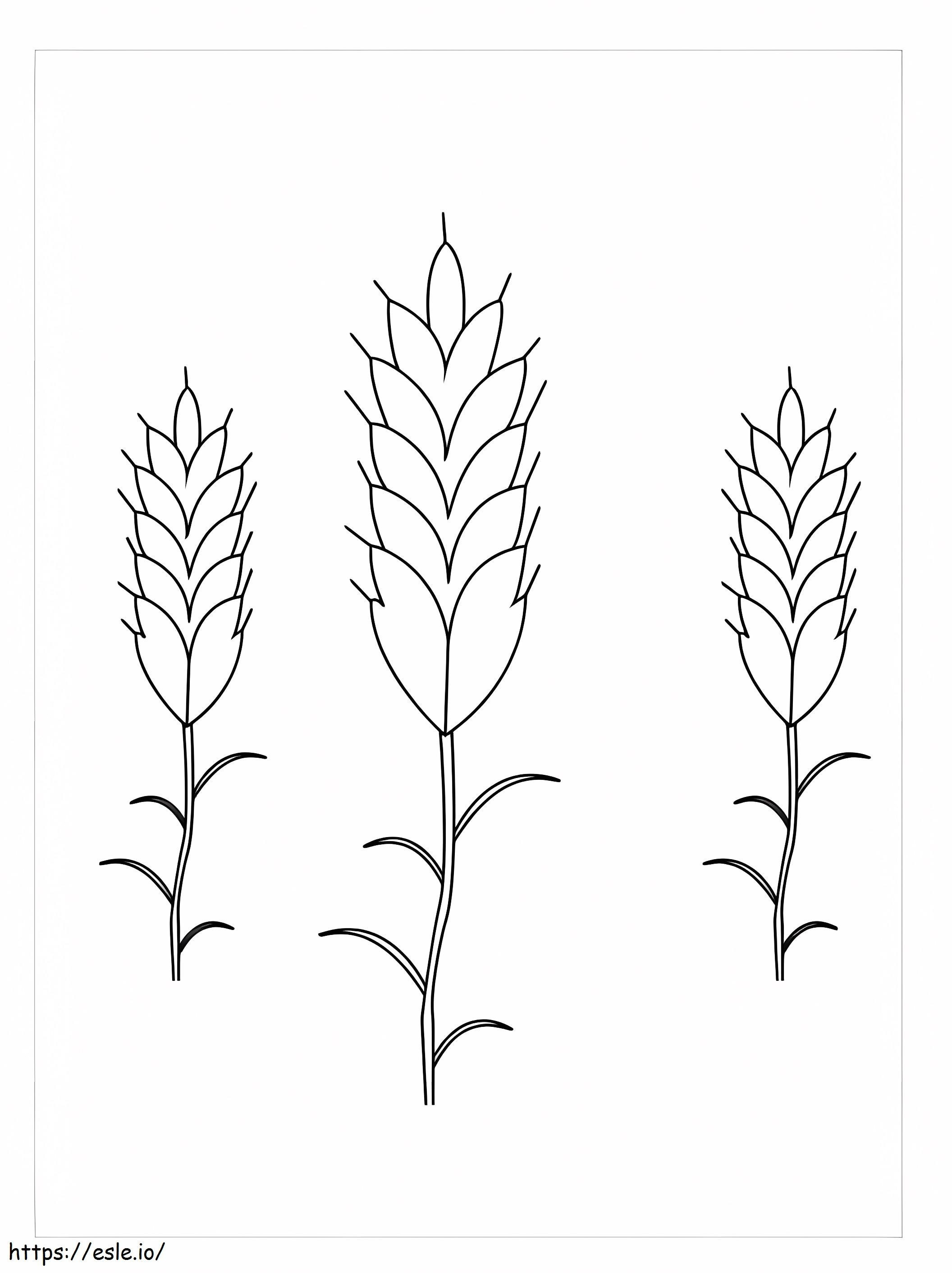 3 つの小麦の植物 ぬりえ - 塗り絵