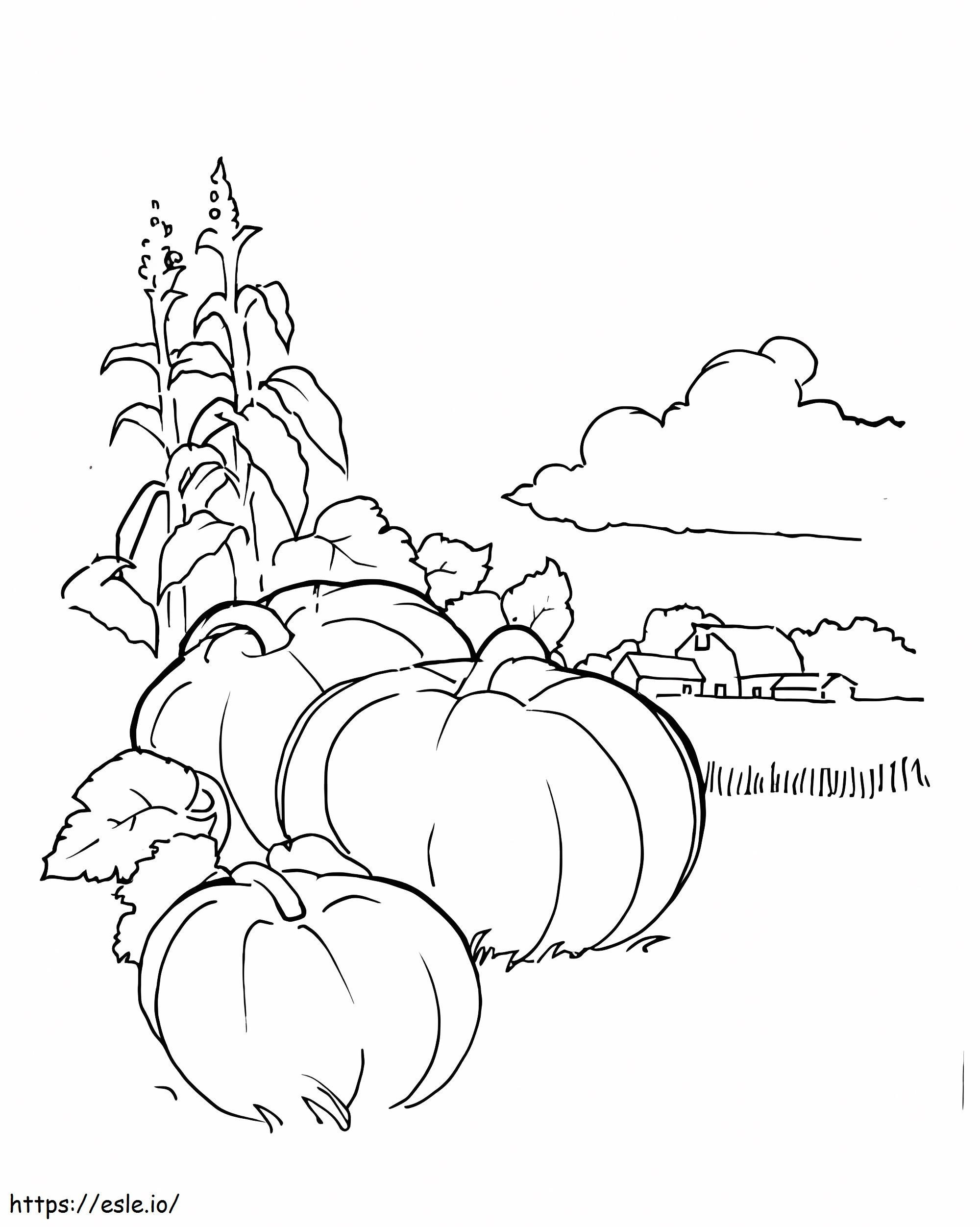 Pumpkin Patch Free To Color coloring page