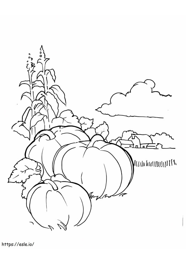 Pumpkin Patch Free To Color coloring page