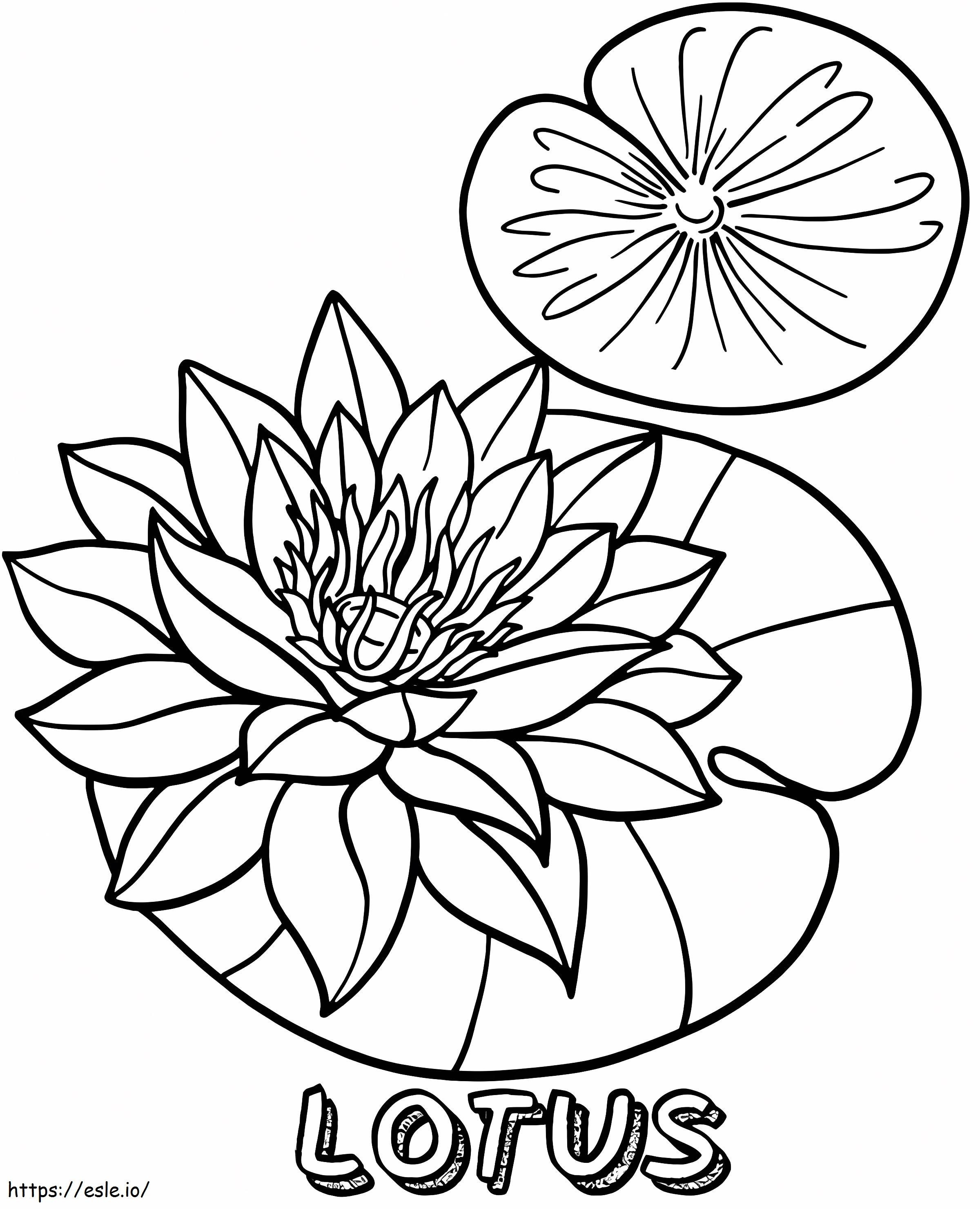 Coloriage Lotus pour les enfants à imprimer dessin