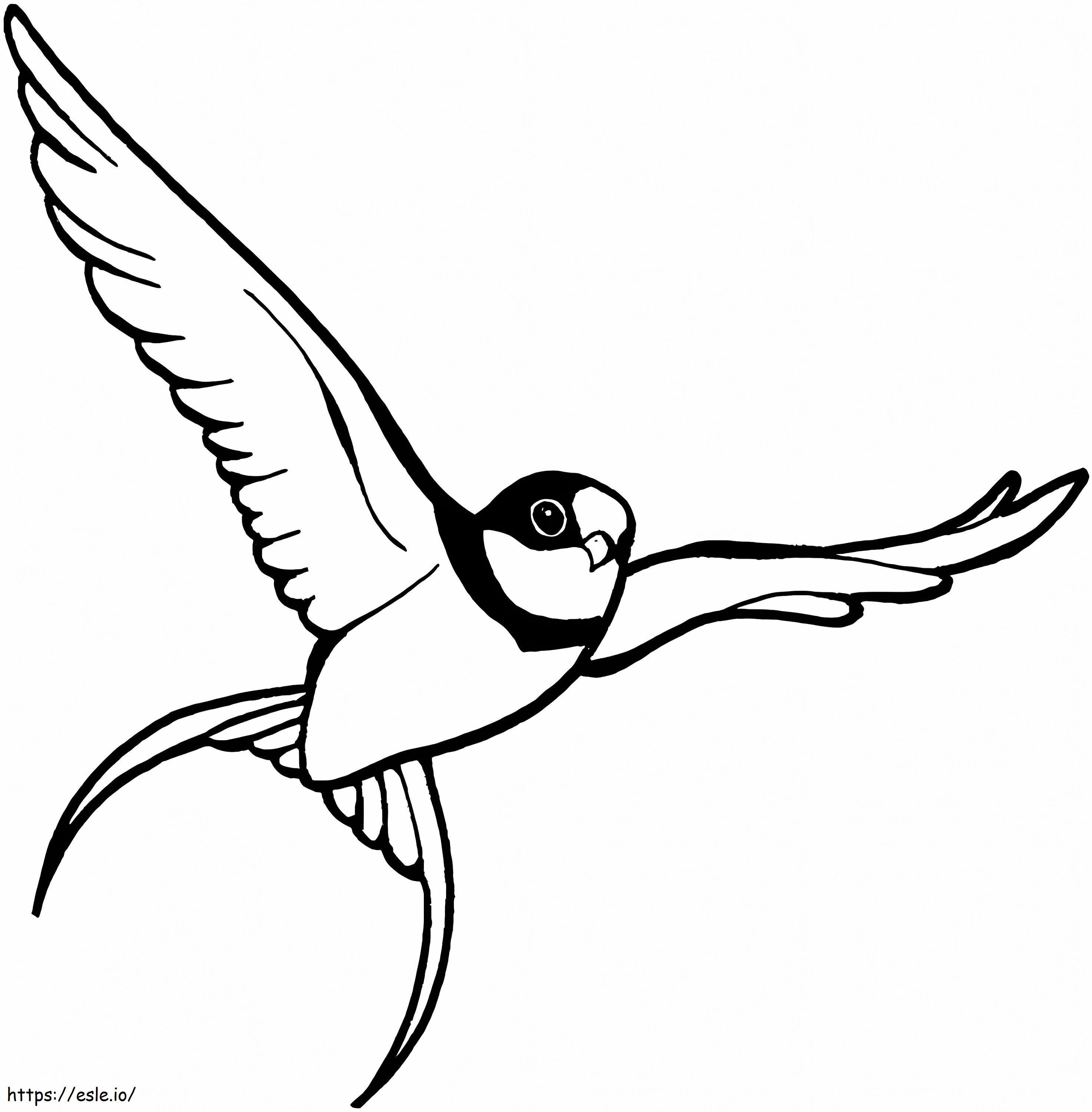 Lentävä Sparrow värityskuva