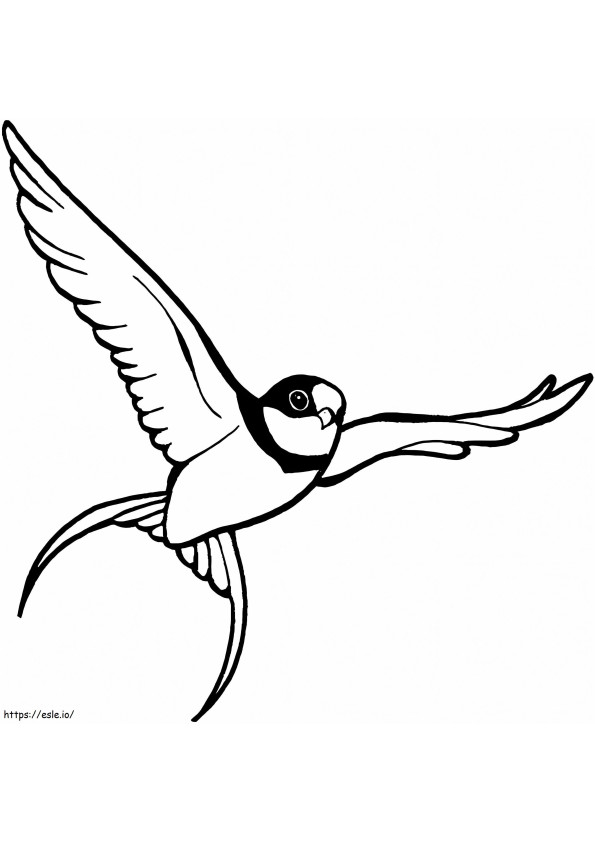 Lentävä Sparrow värityskuva