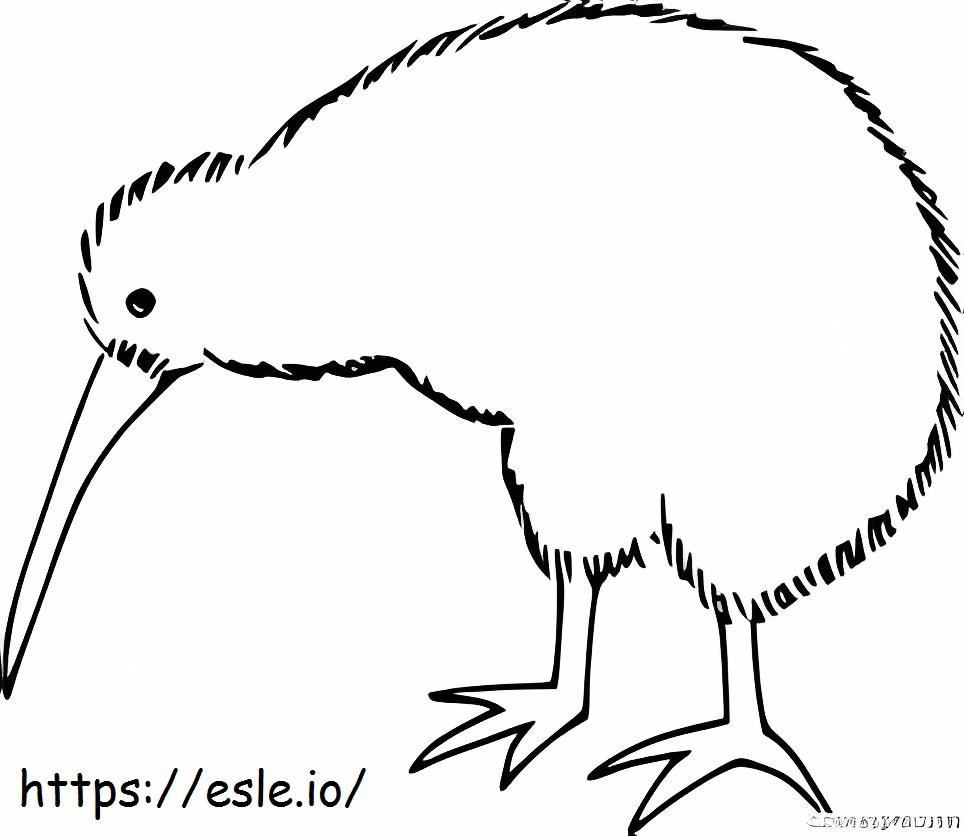 Pássaro Kiwi cabeça para baixo para colorir