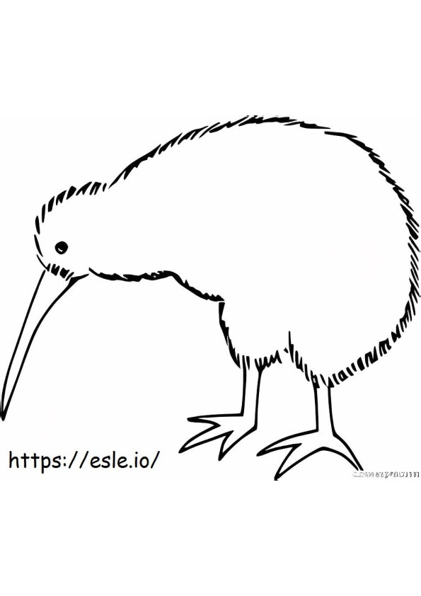 Kiwi Bird Testa Verso Il Basso da colorare