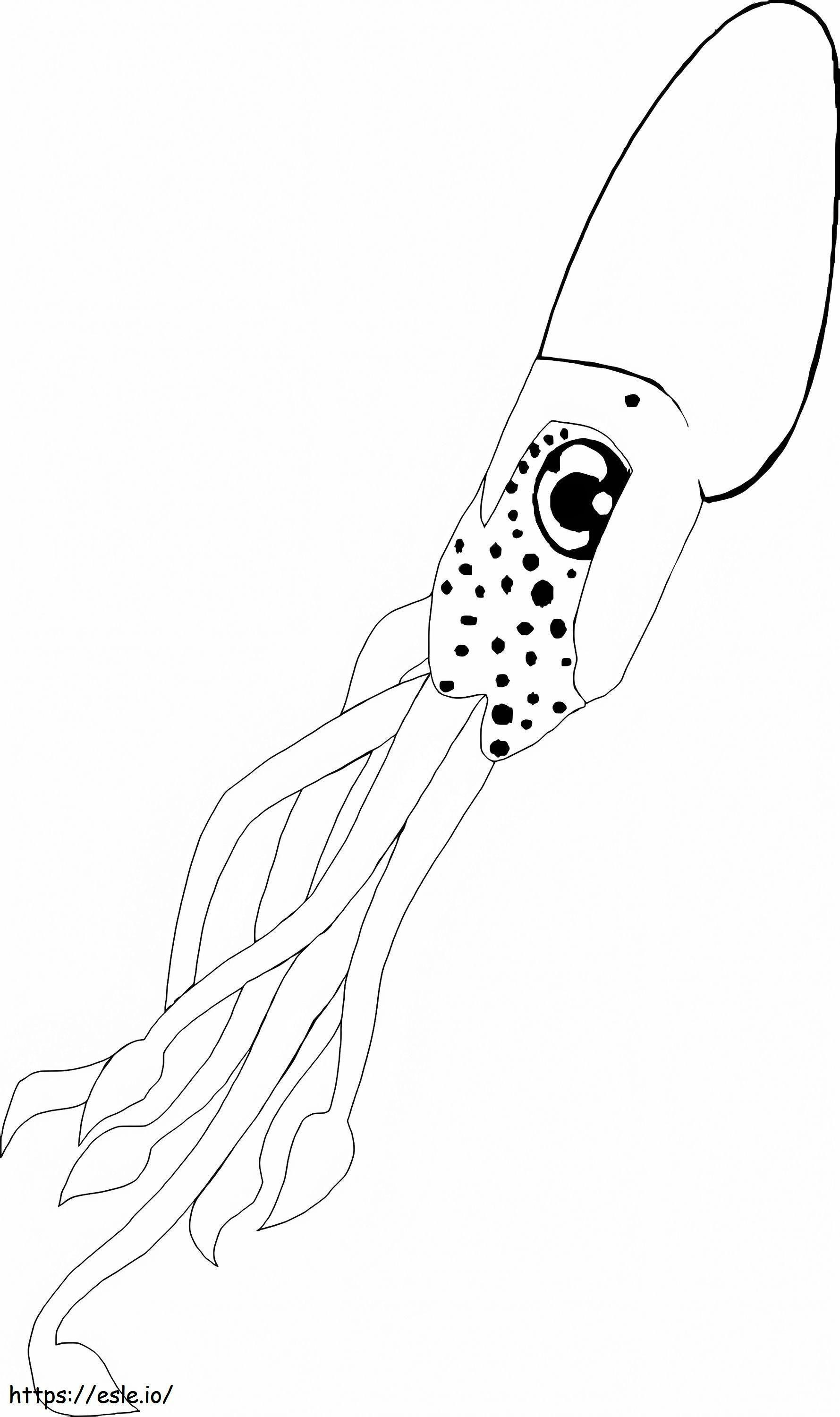 Bellissimo calamaro da colorare
