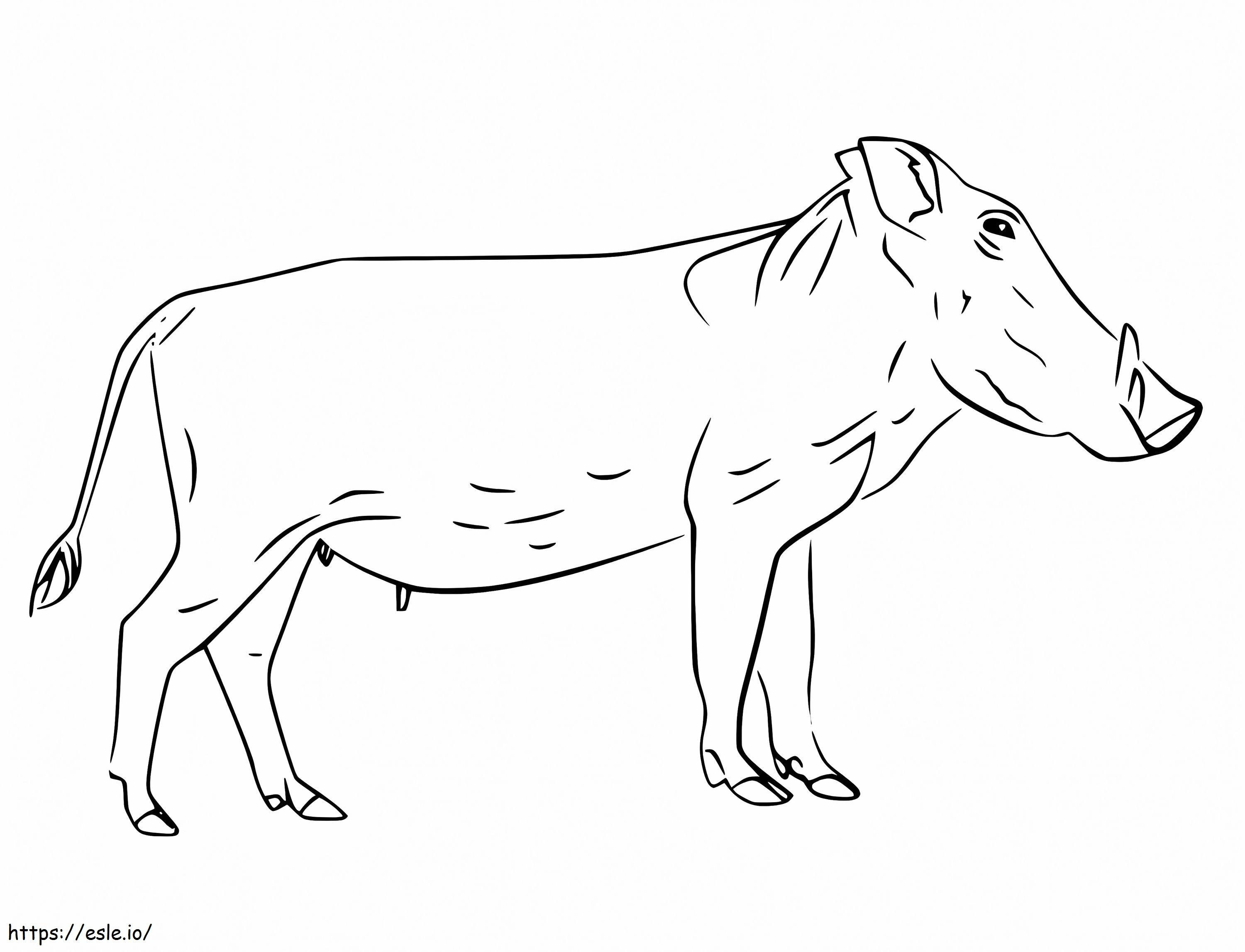 Warzenschwein zum ausdrucken ausmalbilder
