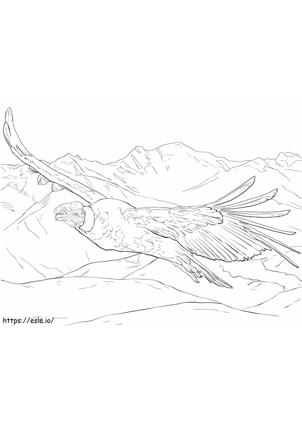 Flying Andean Condor coloring page