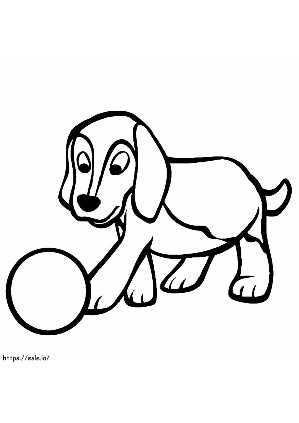 Beagle con una pelota para colorear