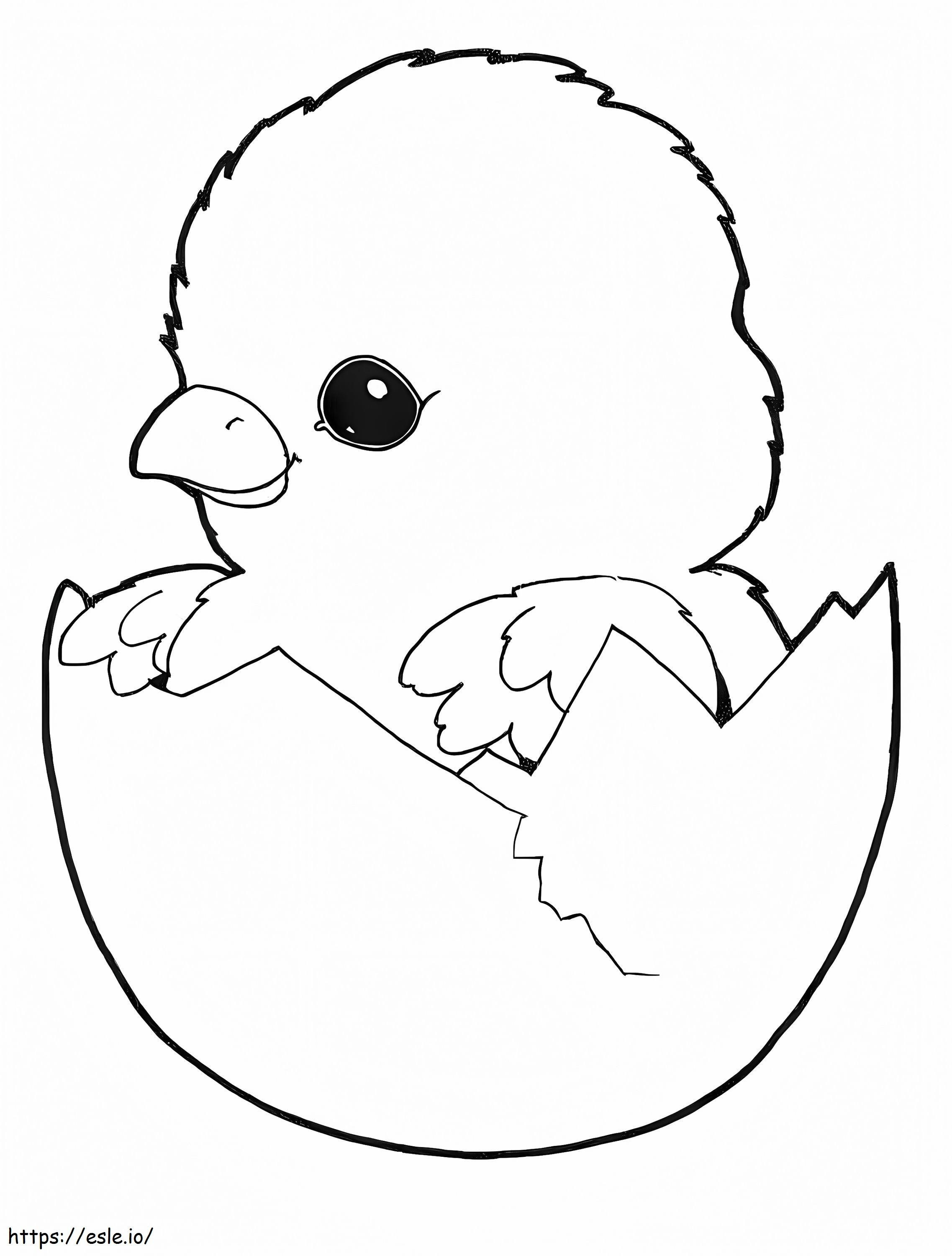 Chick In Egg värityskuva