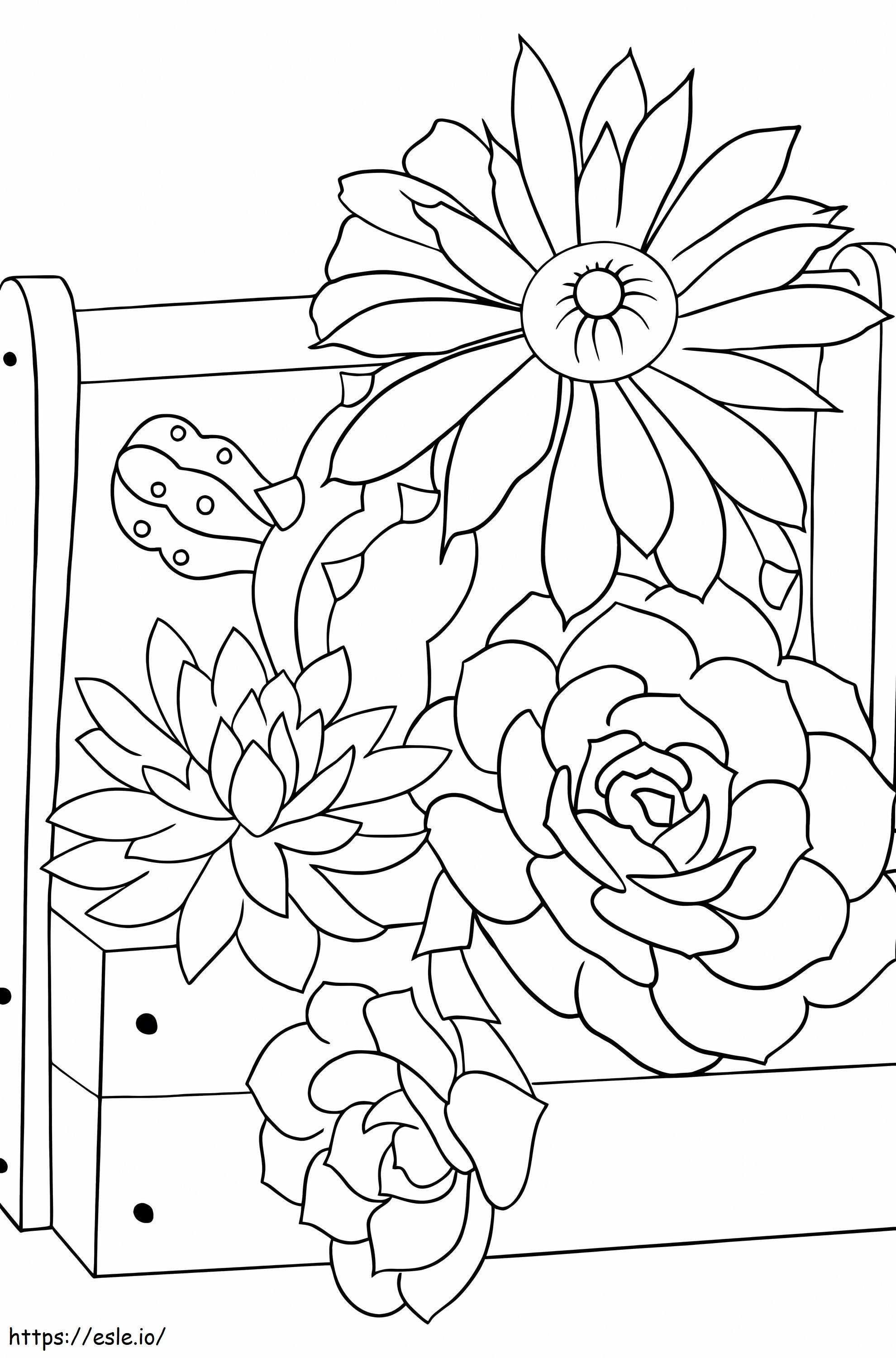 Four Cactus Flowers coloring page