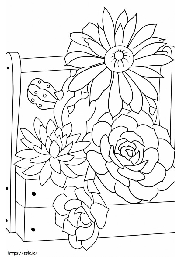 Four Cactus Flowers coloring page