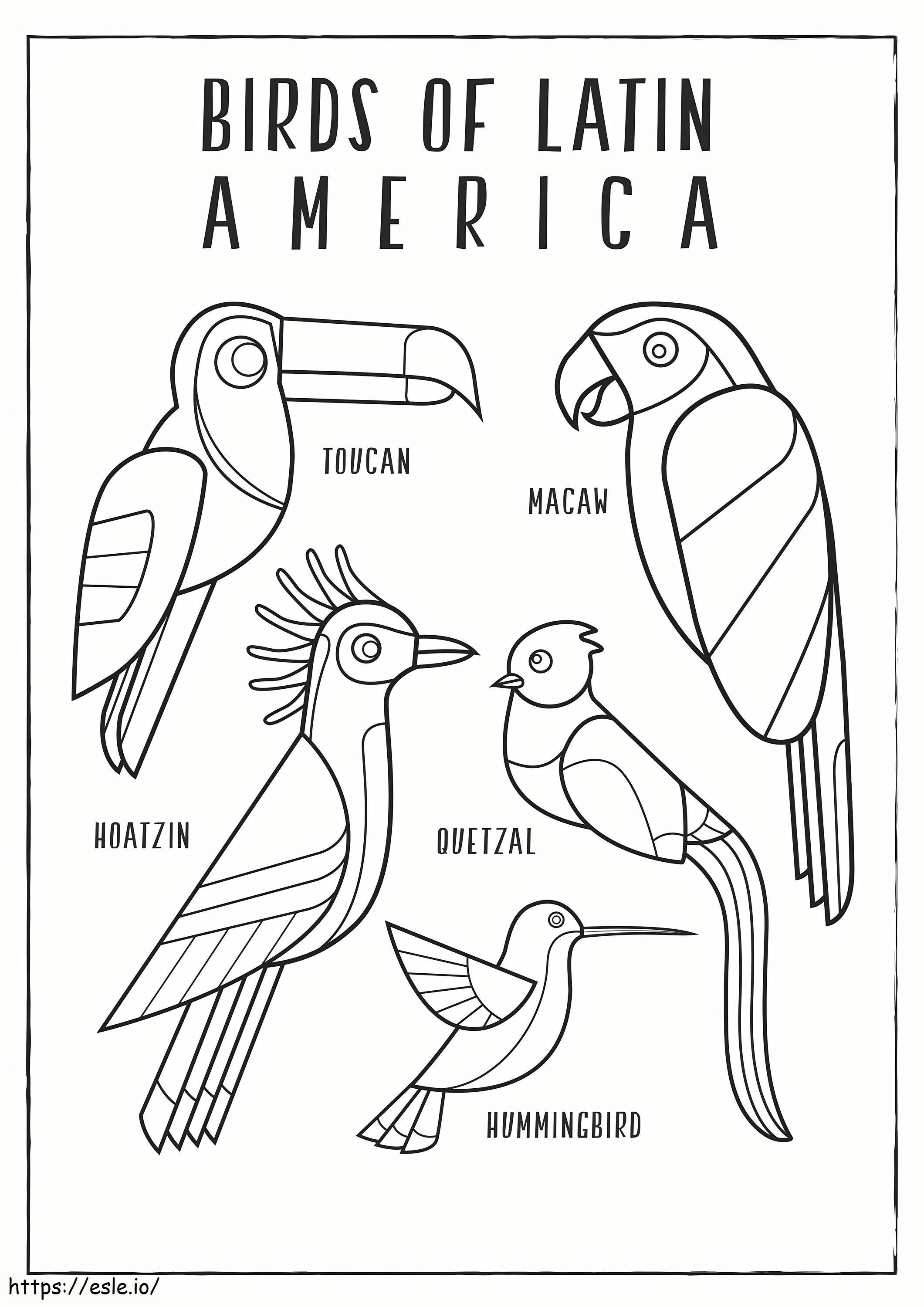 Geschaalde Vogels Van Latijns-Amerika kleurplaat kleurplaat