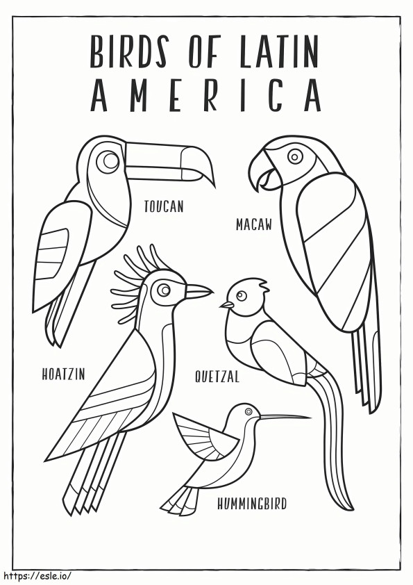 Geschaalde Vogels Van Latijns-Amerika kleurplaat