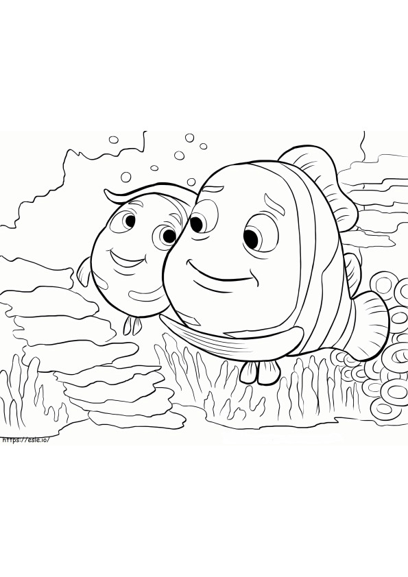Scaled Nemo Couple