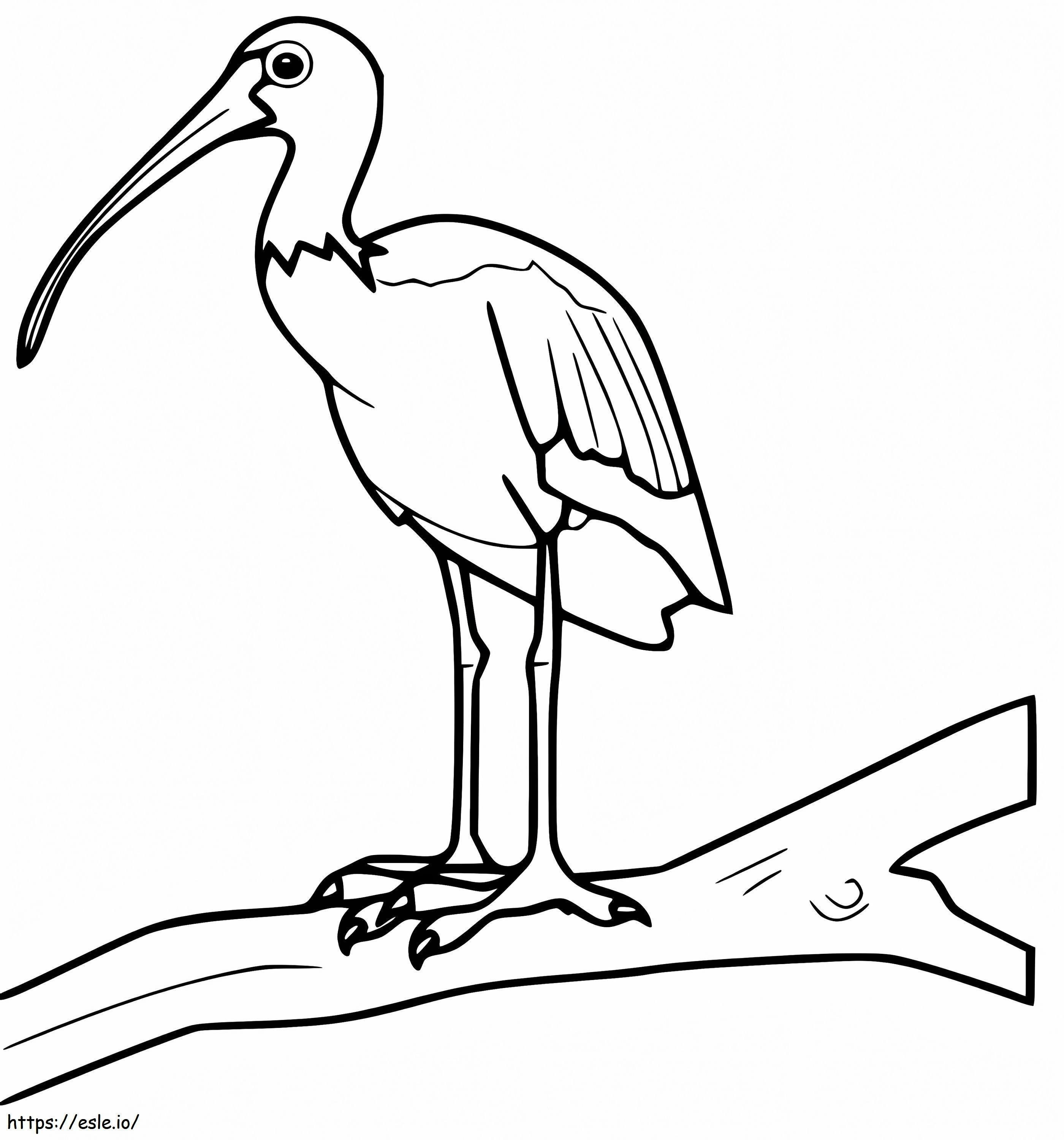 Coloriage Ibis Sur Branche à imprimer dessin