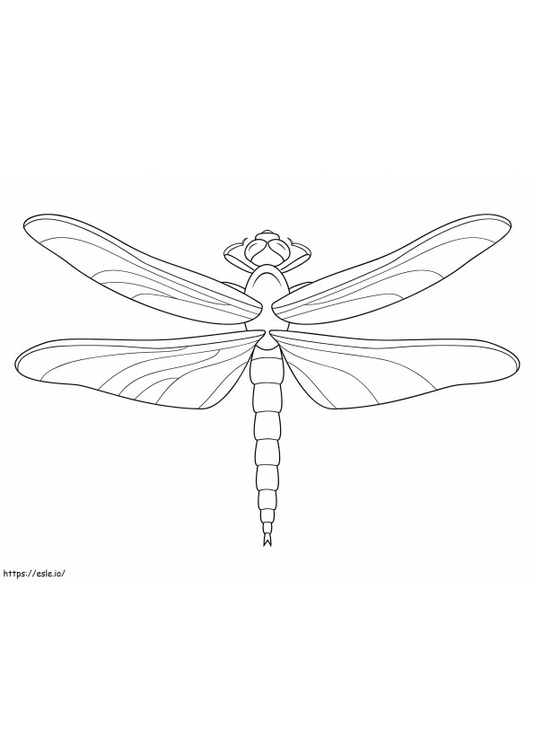 Printable Dragonfly coloring page