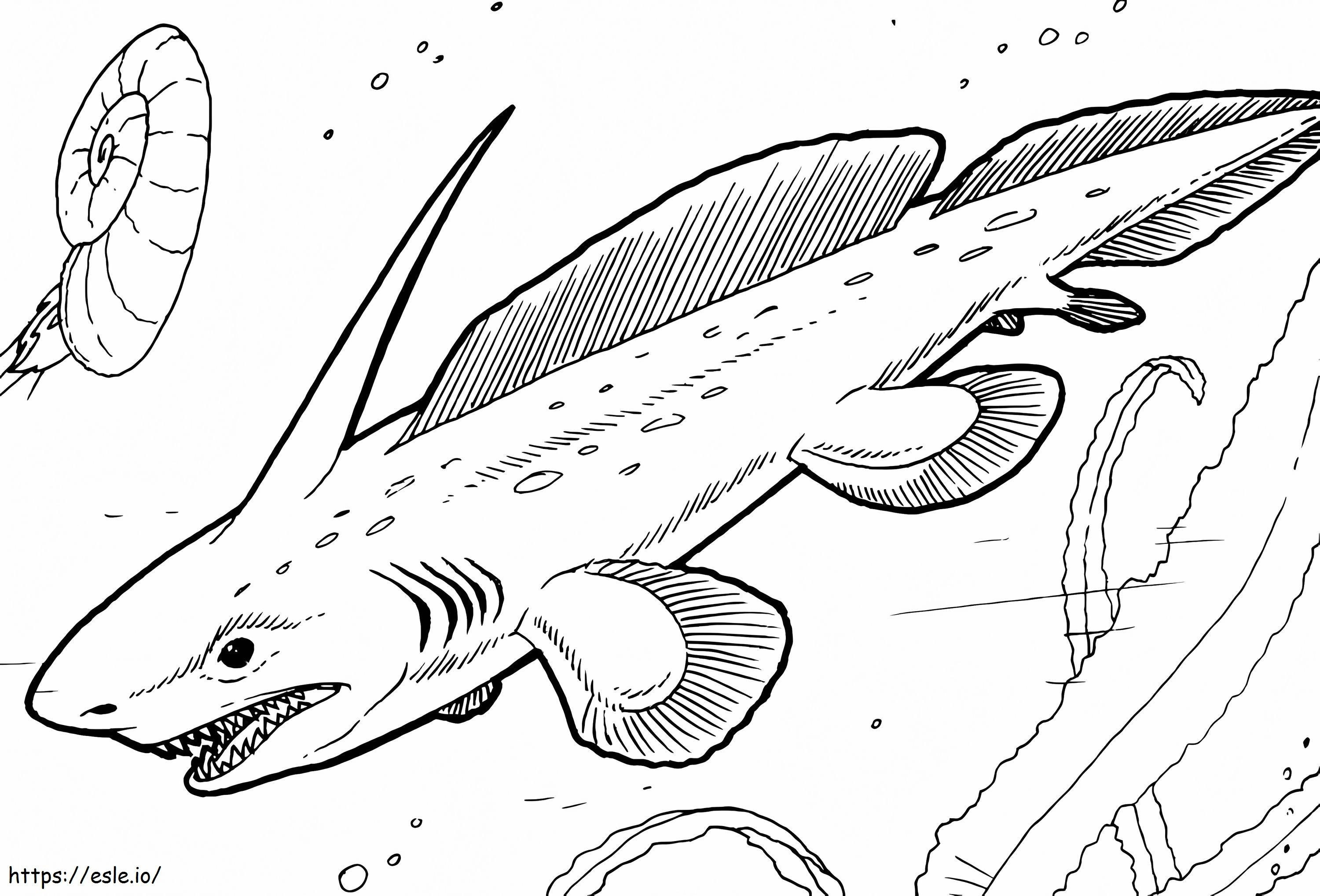 Prehistoric Shark coloring page