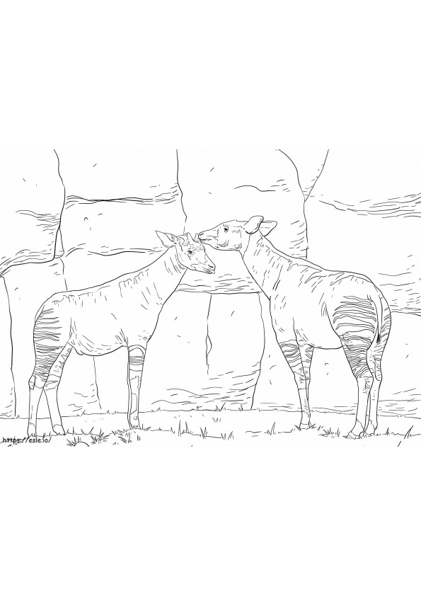 Doi Okapi
