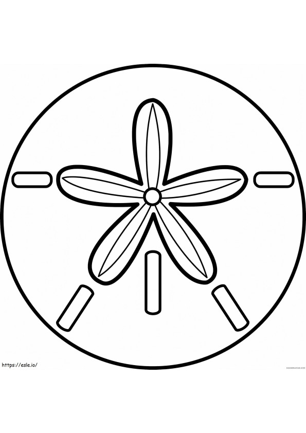 Printable Sand Dollar Coloring Page for Kids and Adults