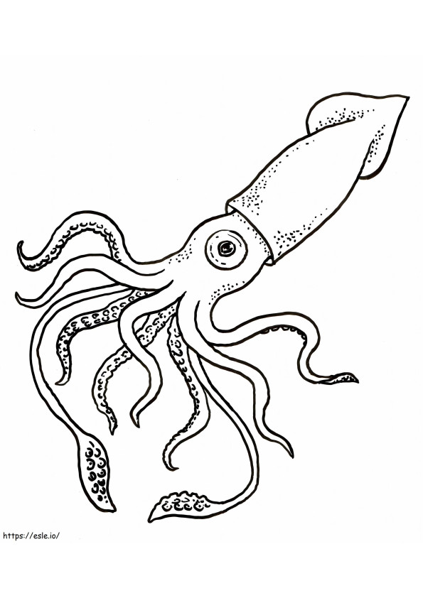 Great Squid coloring page