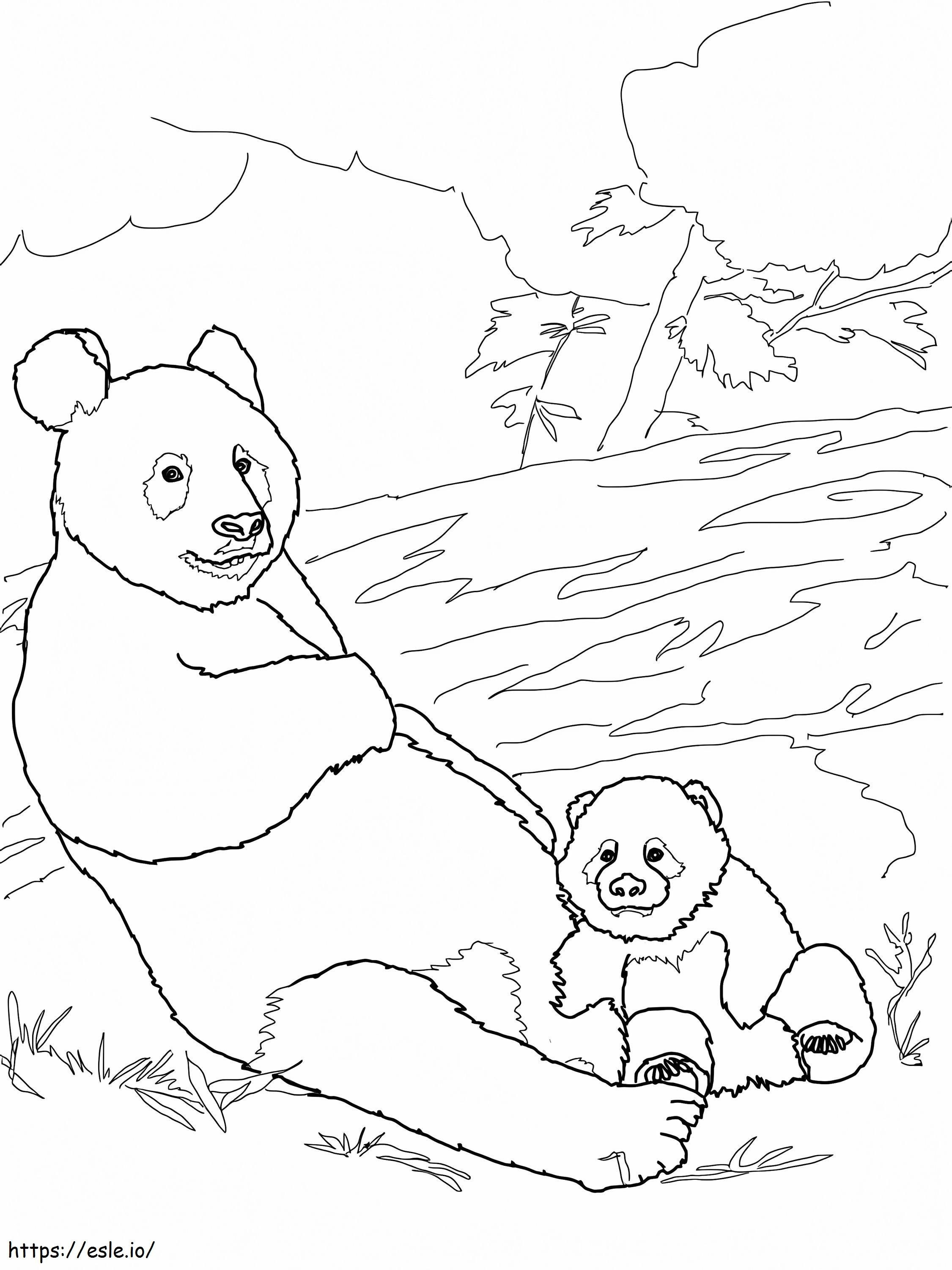 Mãe com bebê panda para colorir